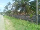 Land For Sale in Pamunugama