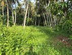 Land for Sale in Pamunugama