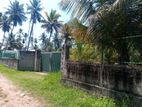 Land for Sale in Pamunugama