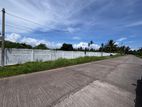 Land for Sale in Pamunugama