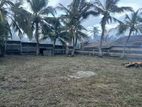 Land For Sale in Pamunugama