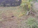 Land For Sale In Pamunugama Ja-ela