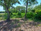 Land for Sale in Pamunugama, Ja-Ela