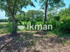 Land for Sale in Pamunugama, Ja-Ela