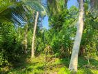 Land For Sale In Pamunugama,Alubomulla