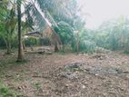 Land for Sale in Pamunuwa