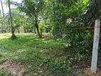 Land For Sale in Pamunuwa, Minuwangoda (SSPL-326)