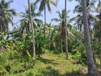 Land For Sale in Pamunuwa, Minuwangoda (SSPL-326)