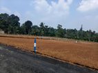 Land for Sale in Panadura Alubomulla