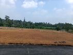 Land for Sale in Panadura Alubomulla