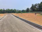 Land for Sale in Panadura Alubomulla
