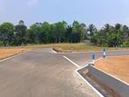 Land for sale in panadura Alubomulla