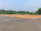 Land for sale in panadura Alubomulla
