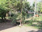 Land for Sale in Panadura City