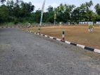 land for sale in panadura