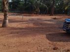 Land for sale in panadura