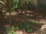 Land For Sale in Panadura