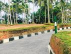Land for Sale in Panadura