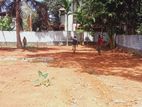 Land for Sale in Panadura