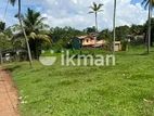 Land For Sale In Panadura