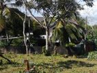 Land for Sale in Panadura