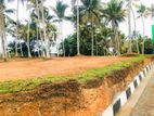 Land For Sale in Panadura