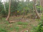 Land For Sale In Panadura