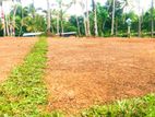 Land for Sale in Panadura