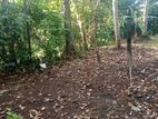 Land for Sale in Panadura