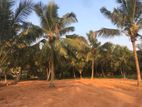 Land for Sale in Panadura