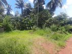 Land For Sale in Panadura