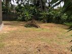 Land for Sale in Panadura