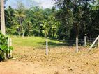 Land for Sale in Panadura