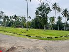 Land for Sale in Panadura