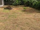 Land for Sale in Panadura