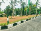 Land for Sale in Panadura