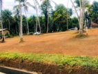 Land for Sale in Panadura