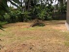 Land for Sale in Panadura