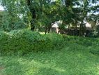 Land for sale in Panadura