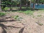 Land for Sale in Panadura