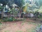 Land for Sale in Panadura