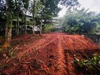 Land for Sale in Panadura