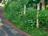 Land for Sale in Panadura