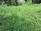 Land for sale in panadura