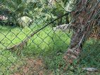 Land for sale in Panadura