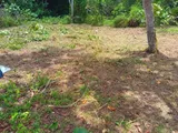 Land for Sale in Panadura