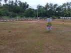 Land for Sale in Panadura