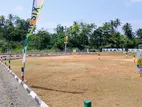 Land for Sale in Panadura
