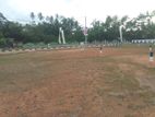 land for sale in panadura...