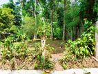 Land for sale in Panadura